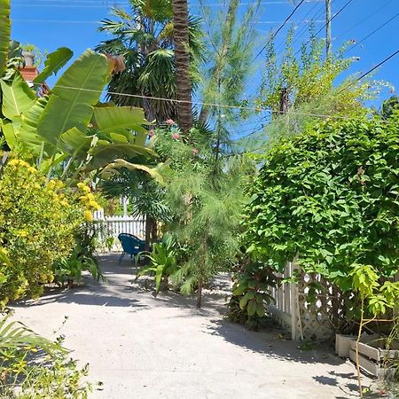 Amanda'S Place Green Studio - Pool And Tropical Garden Caye Caulker Luaran gambar