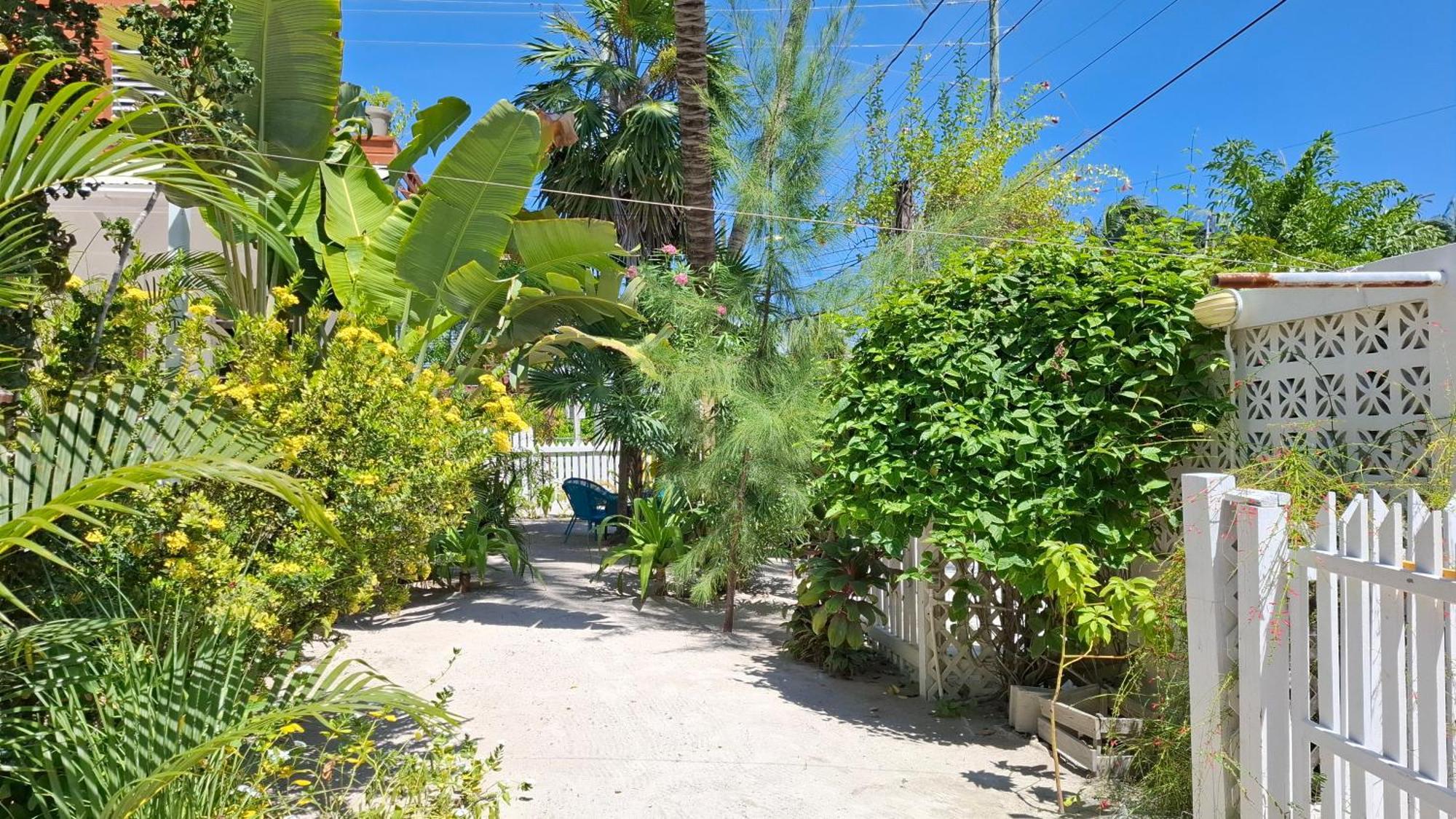 Amanda'S Place Green Studio - Pool And Tropical Garden Caye Caulker Luaran gambar