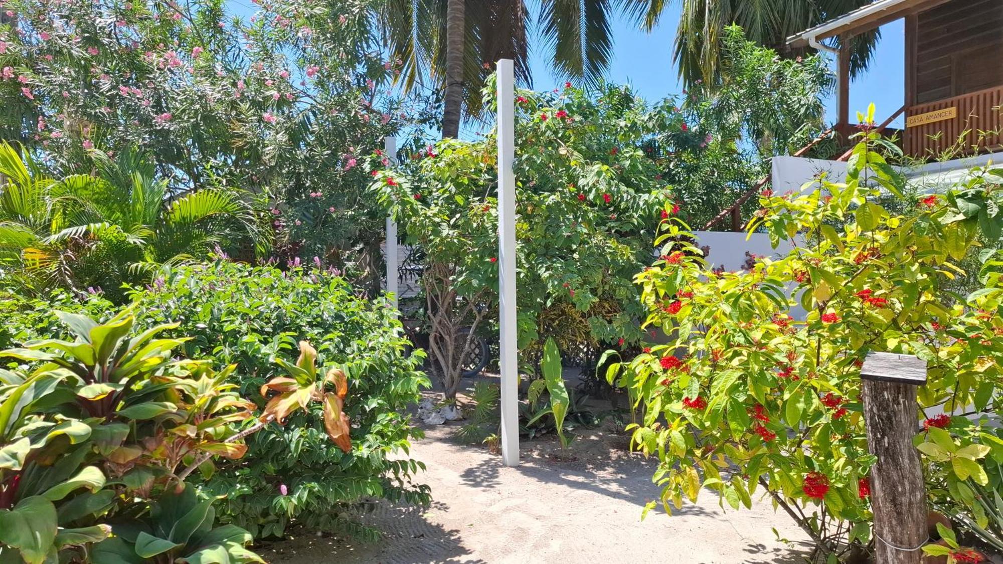 Amanda'S Place Green Studio - Pool And Tropical Garden Caye Caulker Luaran gambar