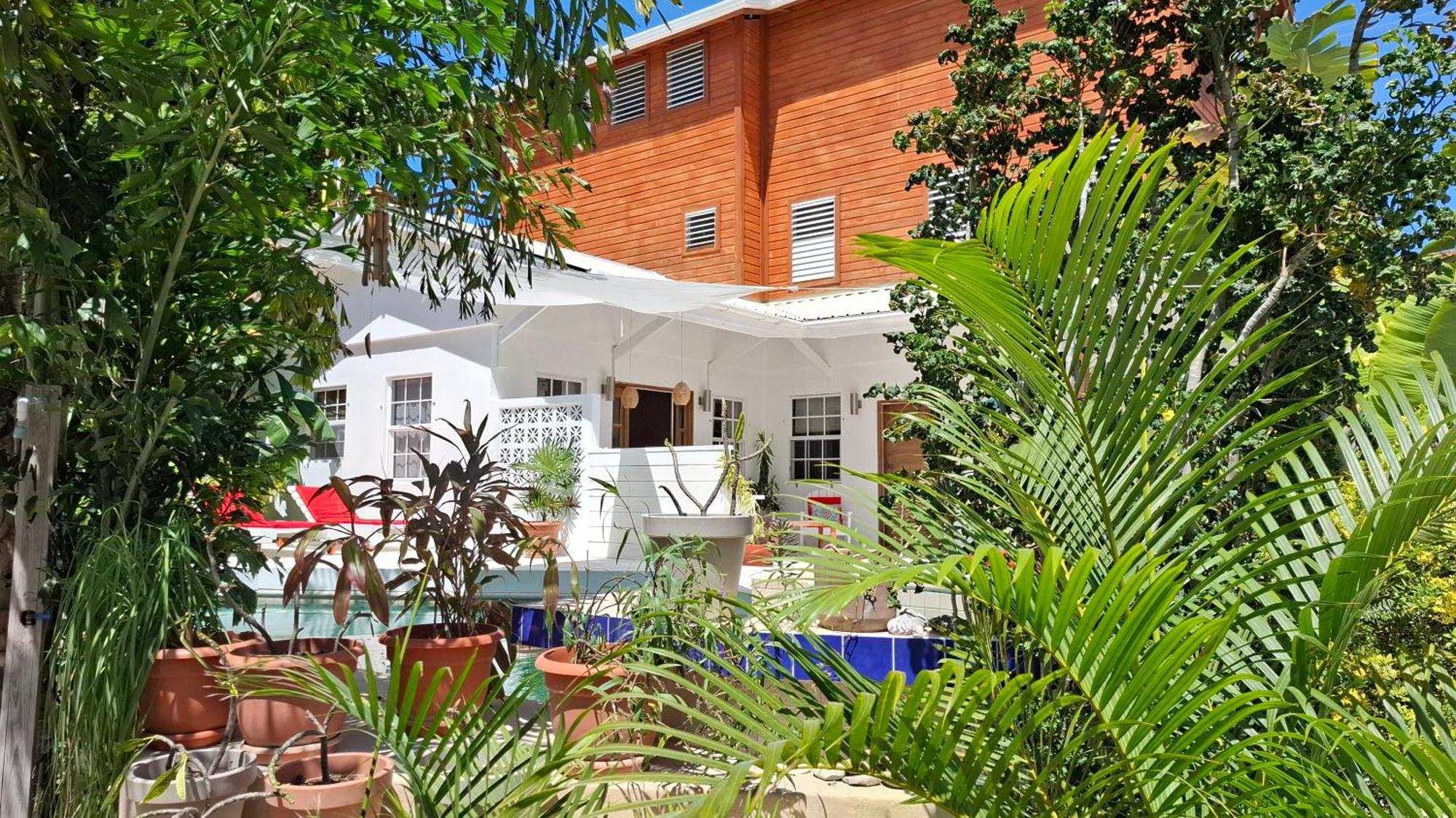 Amanda'S Place Green Studio - Pool And Tropical Garden Caye Caulker Luaran gambar