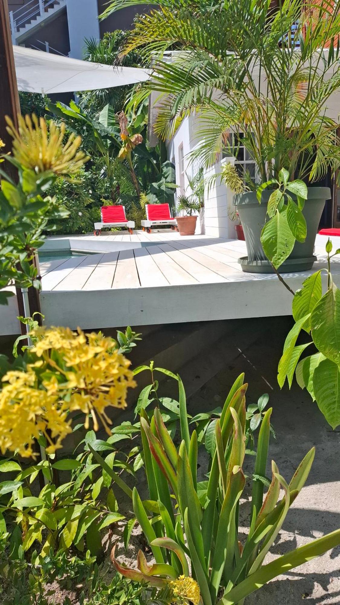 Amanda'S Place Green Studio - Pool And Tropical Garden Caye Caulker Luaran gambar