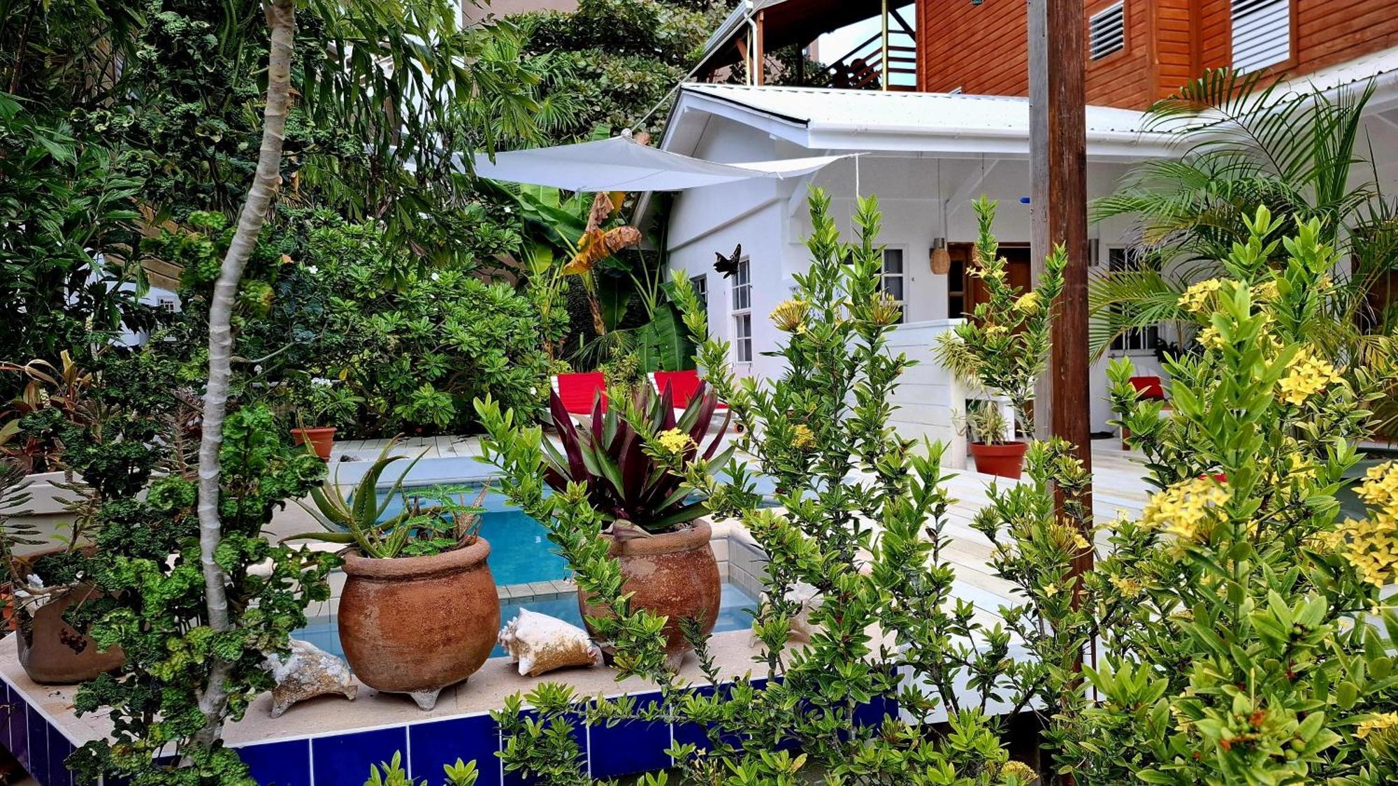 Amanda'S Place Green Studio - Pool And Tropical Garden Caye Caulker Luaran gambar