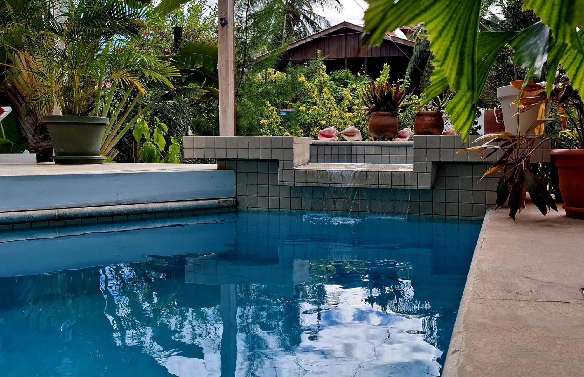 Amanda'S Place Green Studio - Pool And Tropical Garden Caye Caulker Luaran gambar